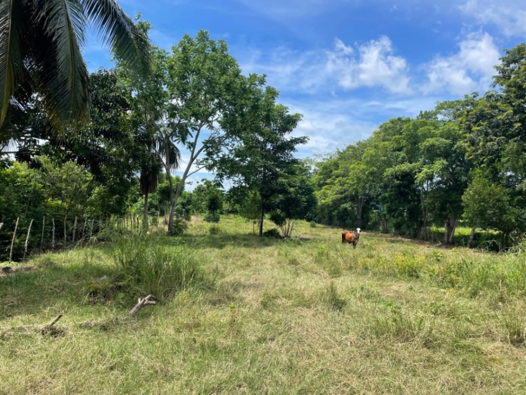Via Aeropuerto, Cereté, Córdoba, Colombia 5